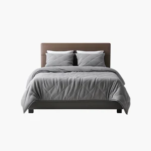 Modern Upholstered Platform Bed