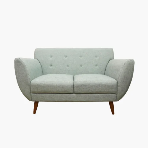 Modern Upholstered Loveseat Sofa